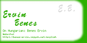 ervin benes business card